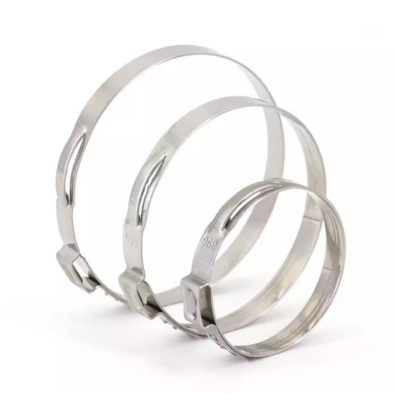 Hose Clamp Assorted - 5-20pcs 5.3-159mm 304 Stainless Steel Single