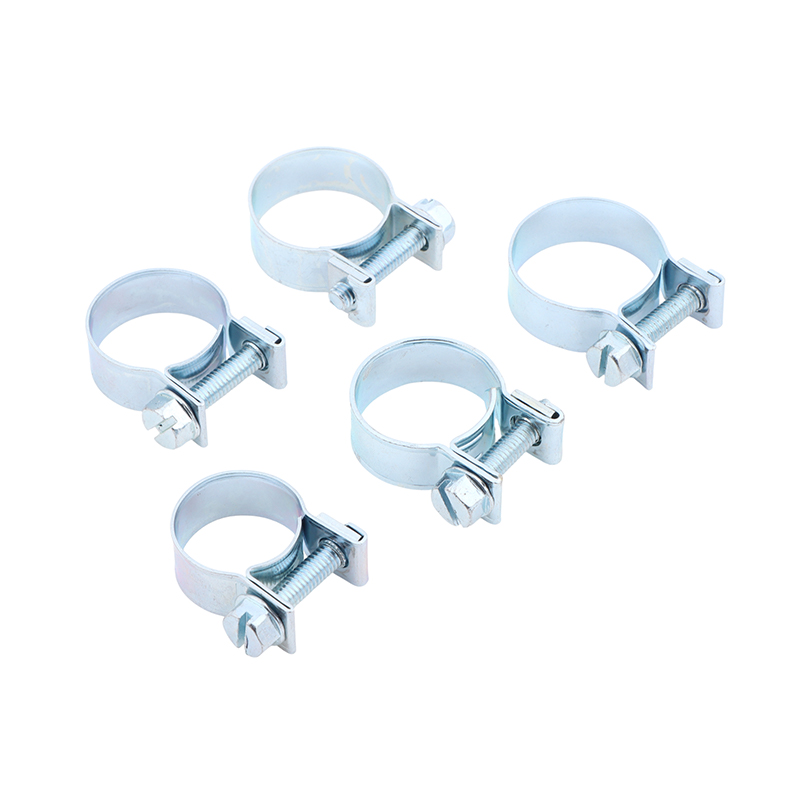 Jubilee Hose Clips 10Pcs Set f - đánh giá và giá Hose Clamp Assorted